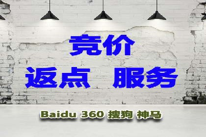百度推广运营成功案例：行业领先企业的秘诀